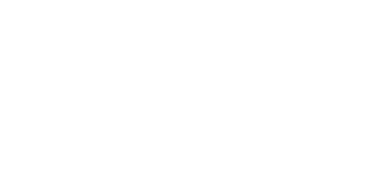 نیٹ پے logo